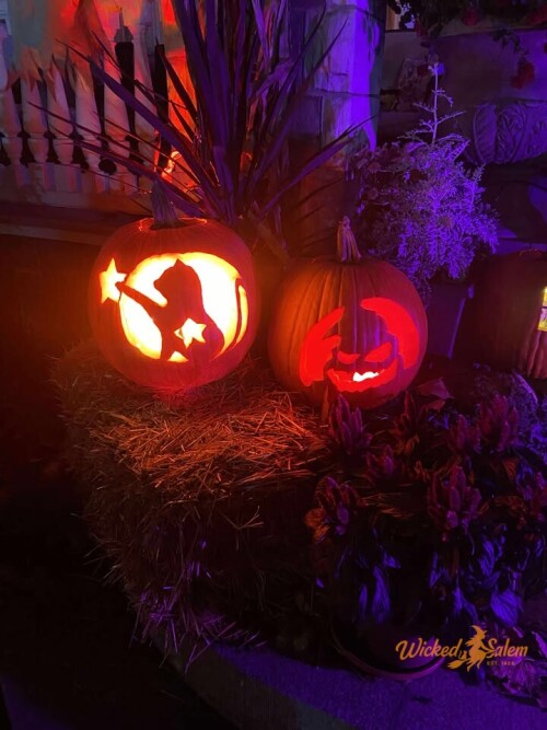 Photos by Adele Maestranzi

My neighbor Gary and Jenn live on the other side of William Street at Washington Square. These are their pumpkins that they set out last night.