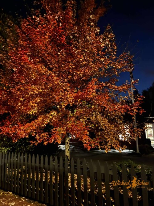 📸 Photos by Amanda Richardson

“Visiting Salem has been a dream of mine for years, and I finally got to experience it with my mom for my 40th birthday! We did everything—from historic museums and haunted walking tours to incredible restaurants, open-air markets, and so many amazing shops. Every corner of Salem was full of magic, beauty, and the best vibes from everyone we met. I’m completely obsessed and already planning my return. This was the best trip ever!”